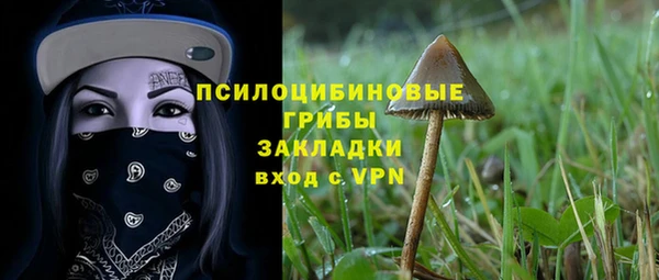 MESCALINE Вяземский