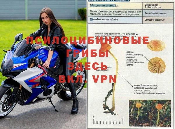 MESCALINE Вяземский