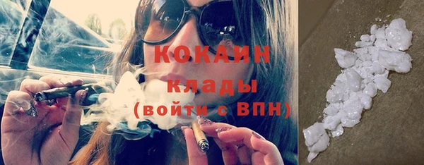 крисы Бородино