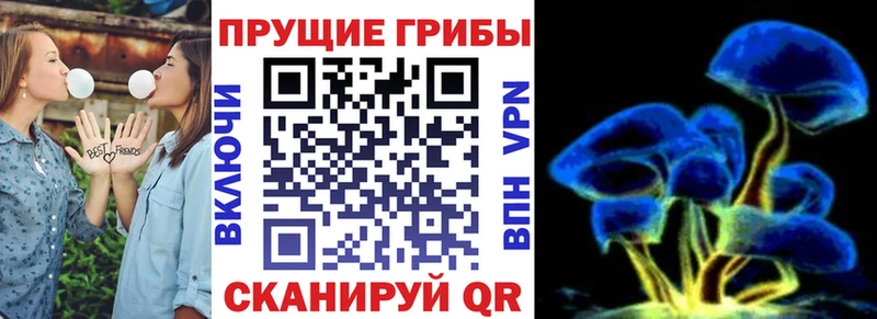 Псилоцибиновые грибы Cubensis  Ростов-на-Дону 